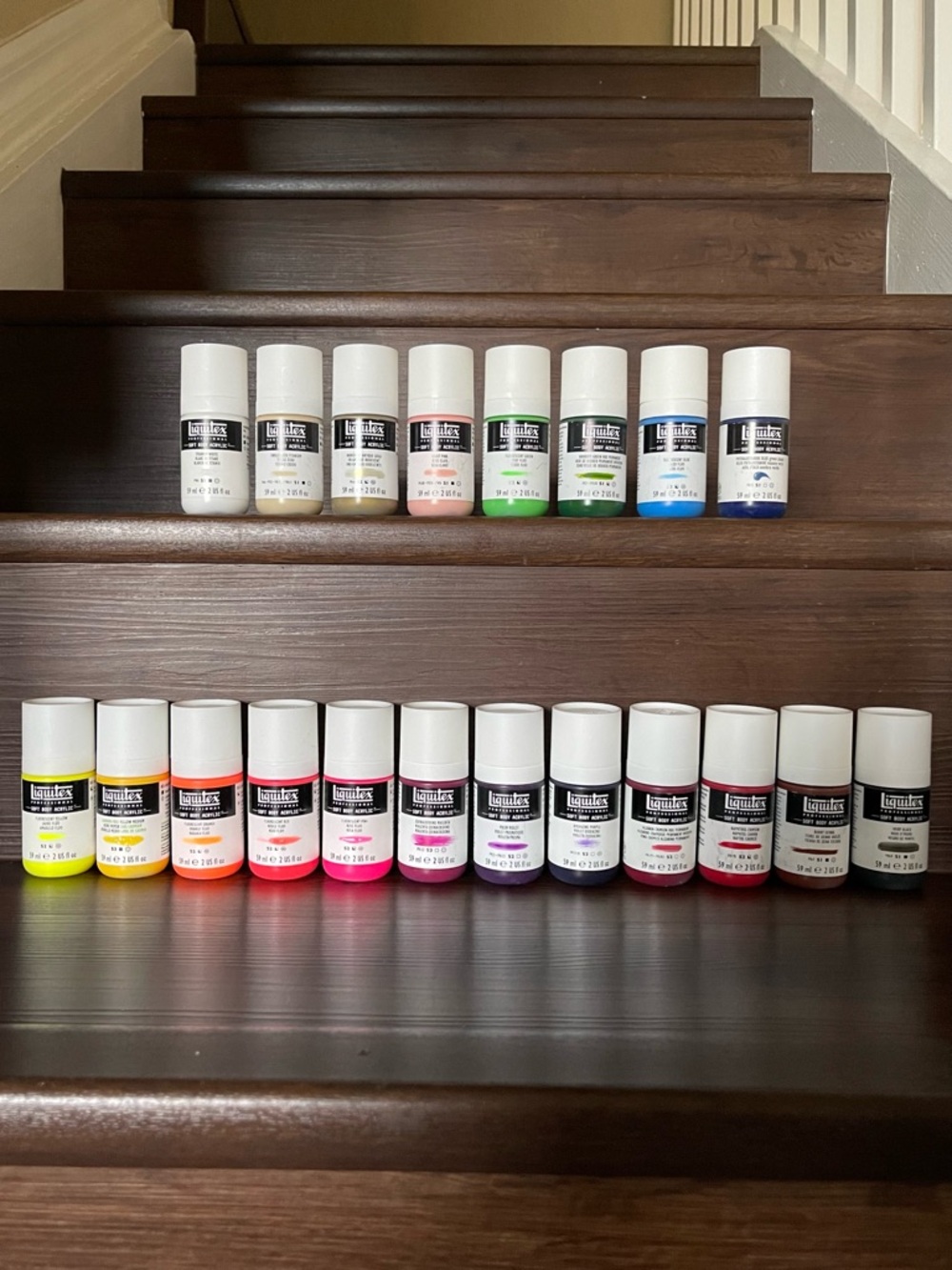 Liquitex Professional Soft Body Acrylics Paint Bundle #2 - Flare (20)